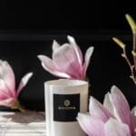 luxury-scented-candle-pearl-collection-close-up-with-magnolia-flowers