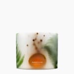 Orange Spice - Grande Botanical Pillar Candle