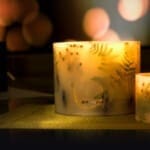 Orange Spice - Grande Botanical Pillar Candle