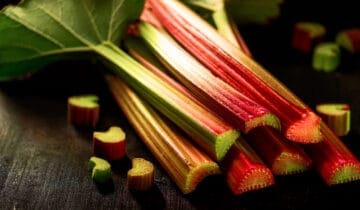 Rhubarb