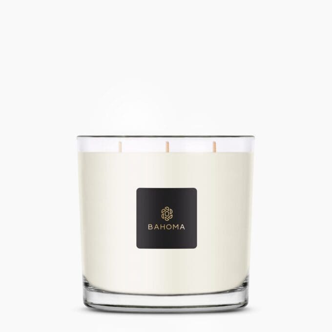 Ambre & Sauge - Fragranced XXL Candle