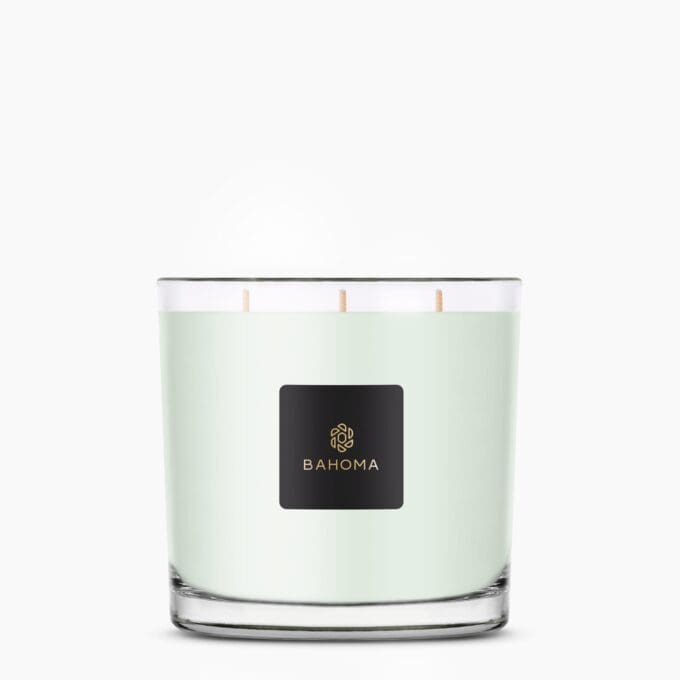 Primrose & Amberwood - Fragranced XXL Candle