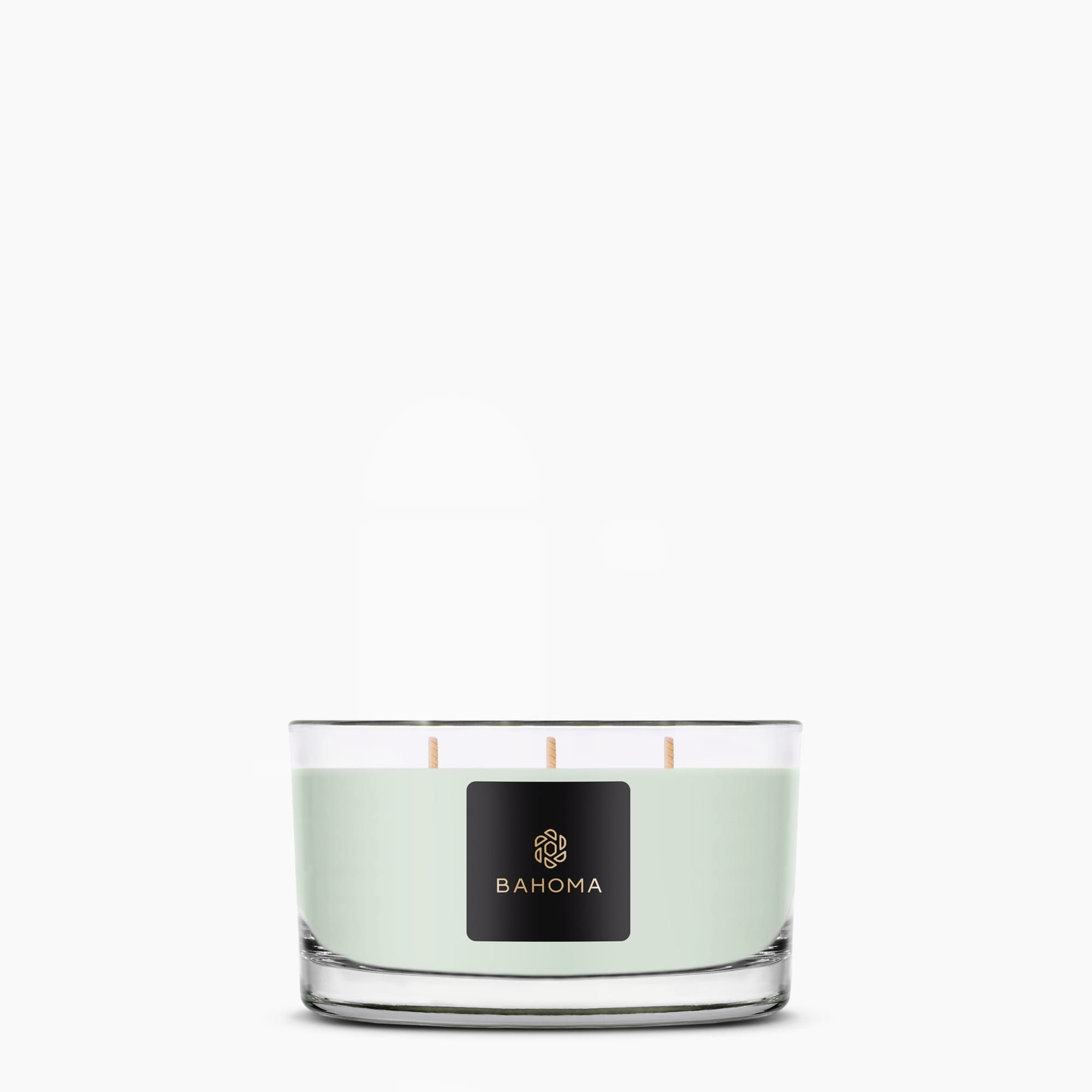 Primrose & Amberwood - Fragranced 3 Wick Candle