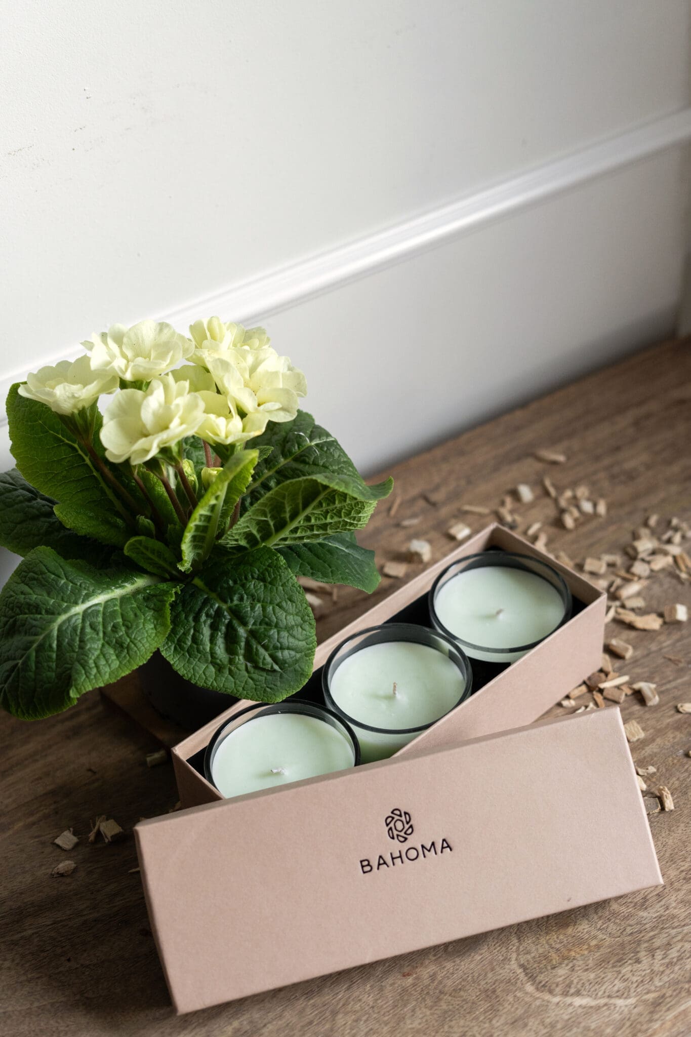 Primrose & Amberwood – Set of 3 Compact Candles in Gift box | Alchemy Collection. Image showing open box with three compact candles in light pastel green colour.