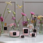 Velvet Peony & Cashmere – Set of 3 Compact Candles | Alchemy Collection. A lifestyle display of full fragrance family with light pastel pink candles and light pastel pink diffuser and room spray liquid.
