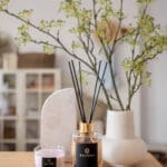 velvet-peony-and-cashmere-200ml-fragranced-diffuser-alchemy-with-black-reeds-on-a-table-with-compact-candle-and-a-cream-vase